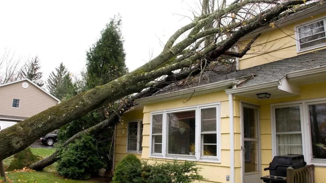 Home Security Tips for Natural Disasters