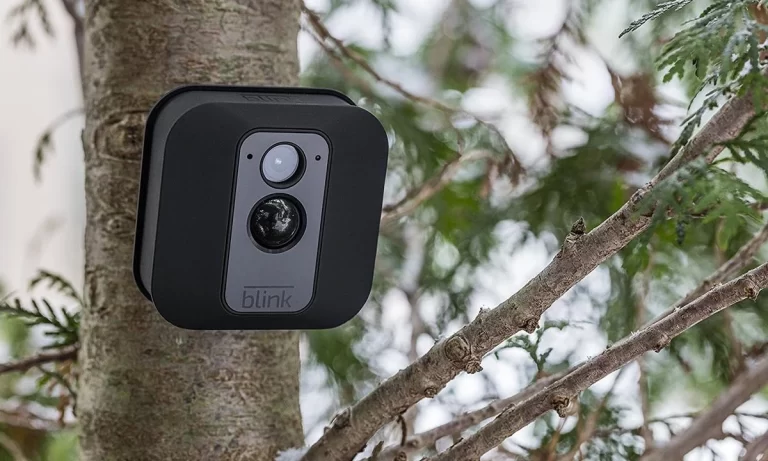 Are the Blink Cameras Worth it?