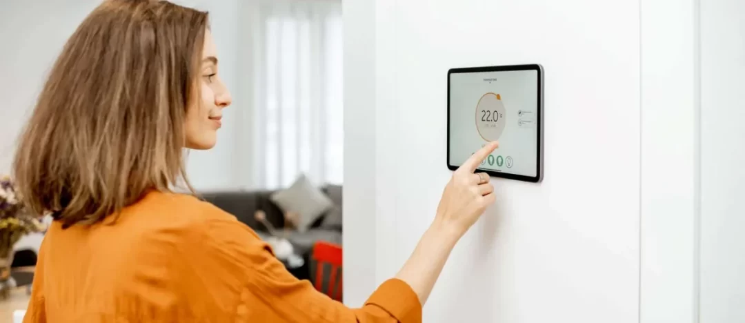 What is Needed for a Smart Home? Voice Assistant