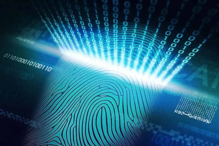 What Are the 2 Types of Biometric Security?