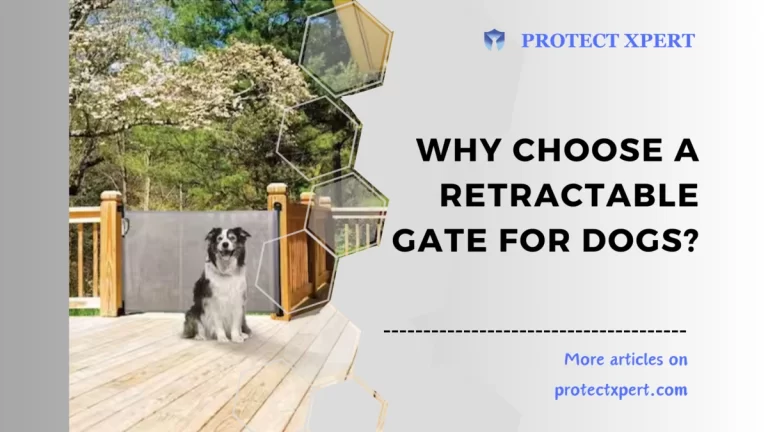 Why Choose a Retractable Gate for Dogs?