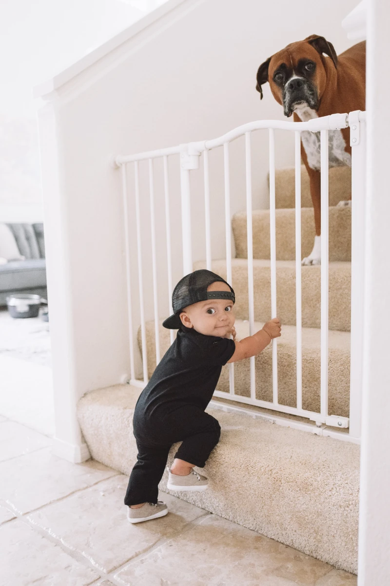 Babyproofing House: A Room-by-Room Guide