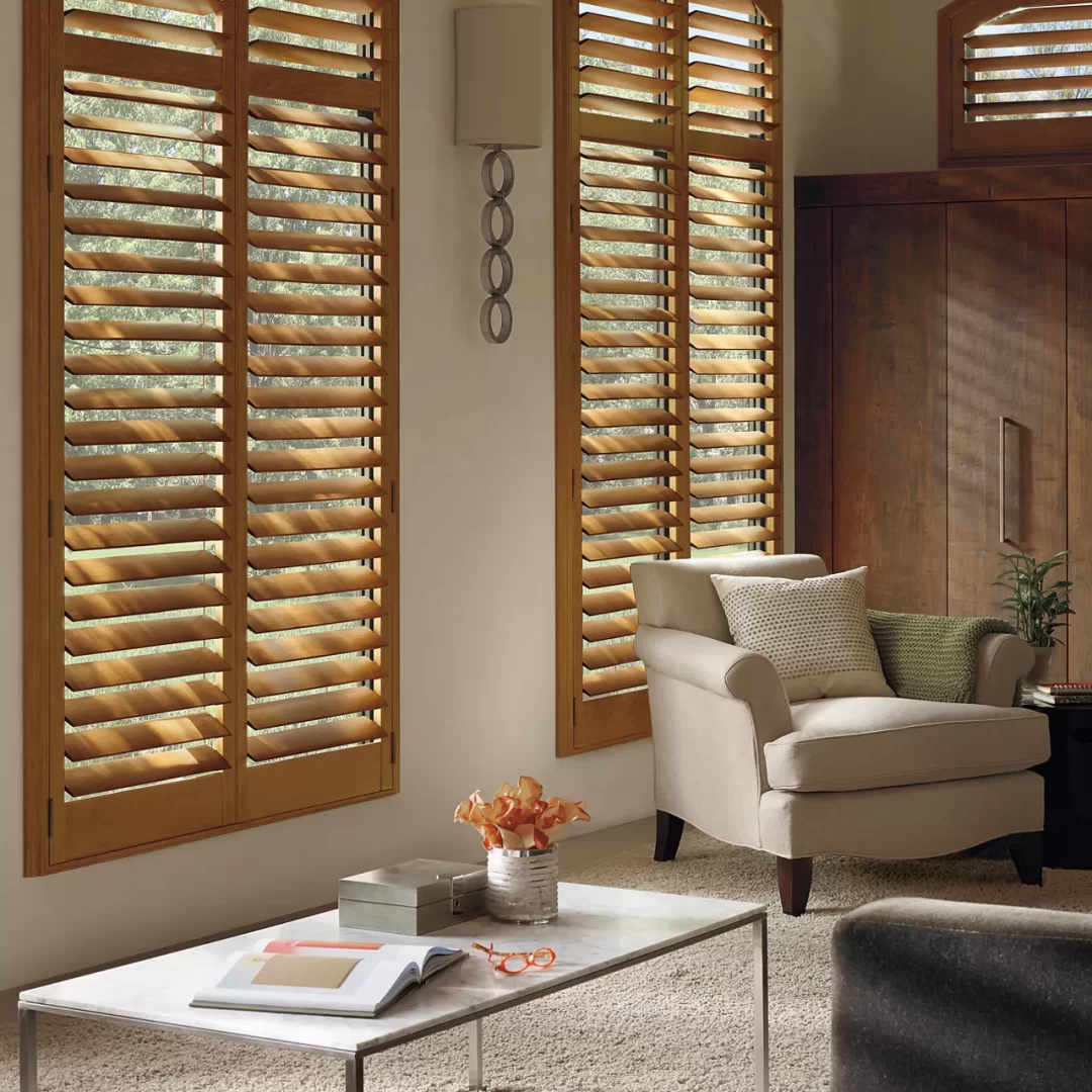 What are Window Shutters?